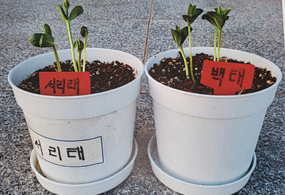 체험소개준비중